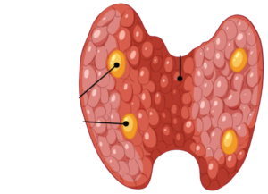 untitled design 1 edited