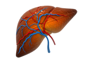 istockphoto 1401519985 612x612 edited